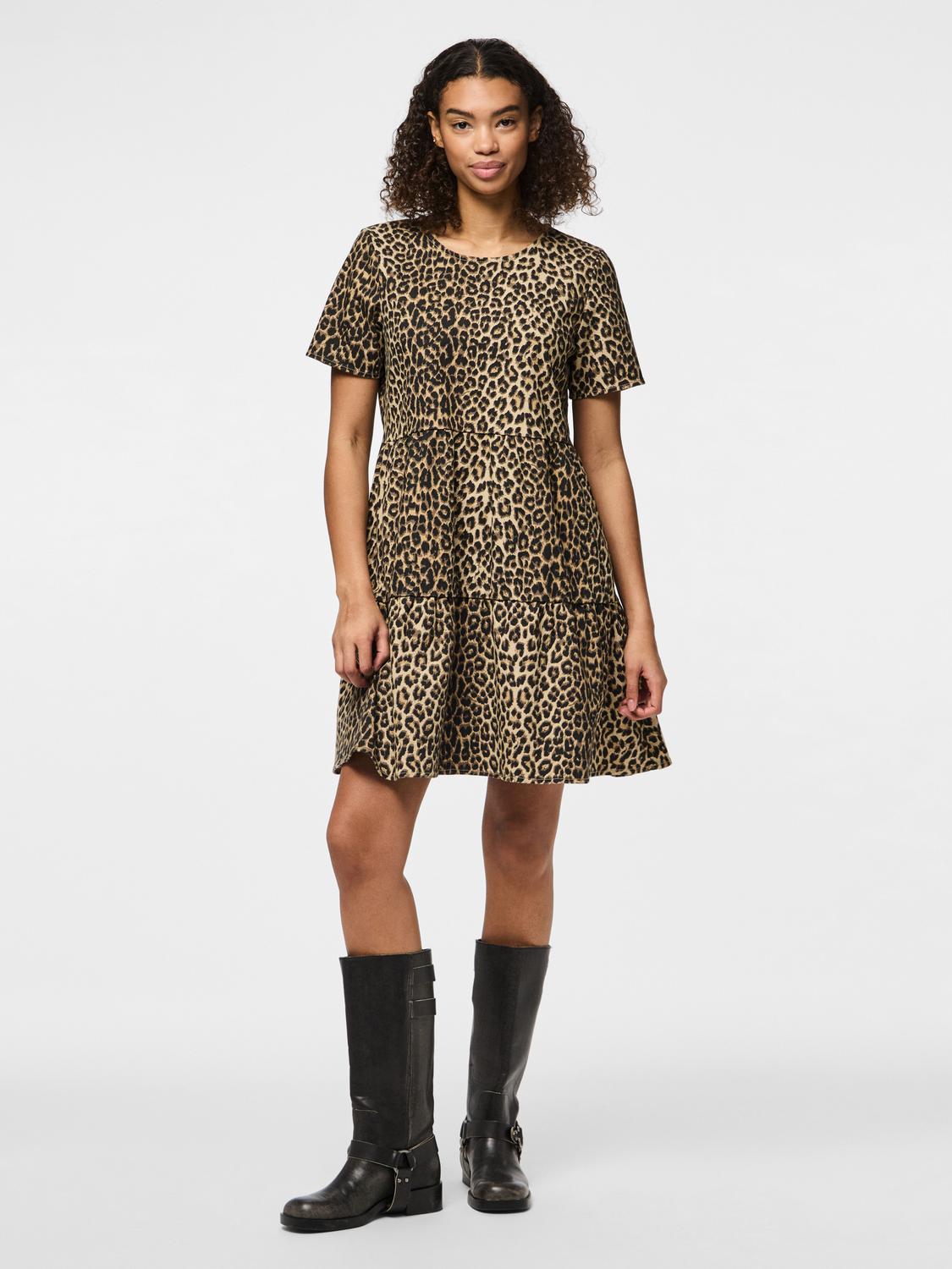 model_shot-front_full